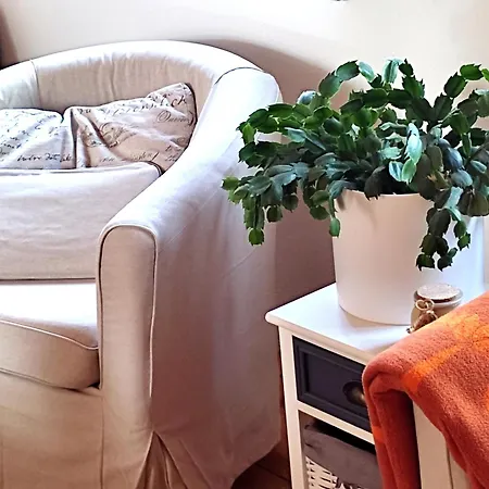 Ferienwohnung Steffenshagen *