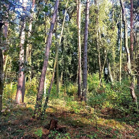 Appartement Ferienwohnung Steffenshagen *